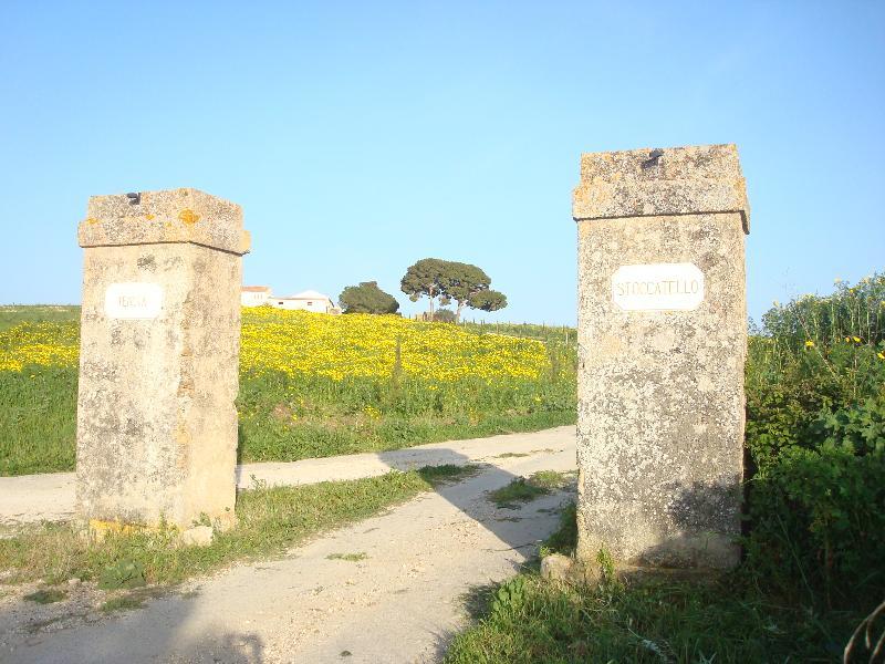 Agriturismo Tenuta Stoccatello Менфи Экстерьер фото